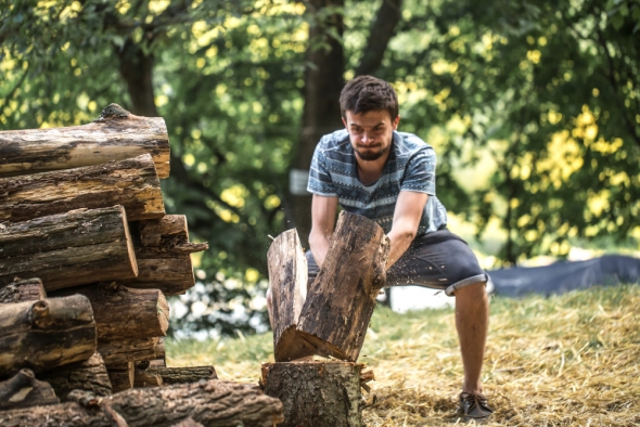 Benefits of Professional Stump Grinding Over DIY Methods